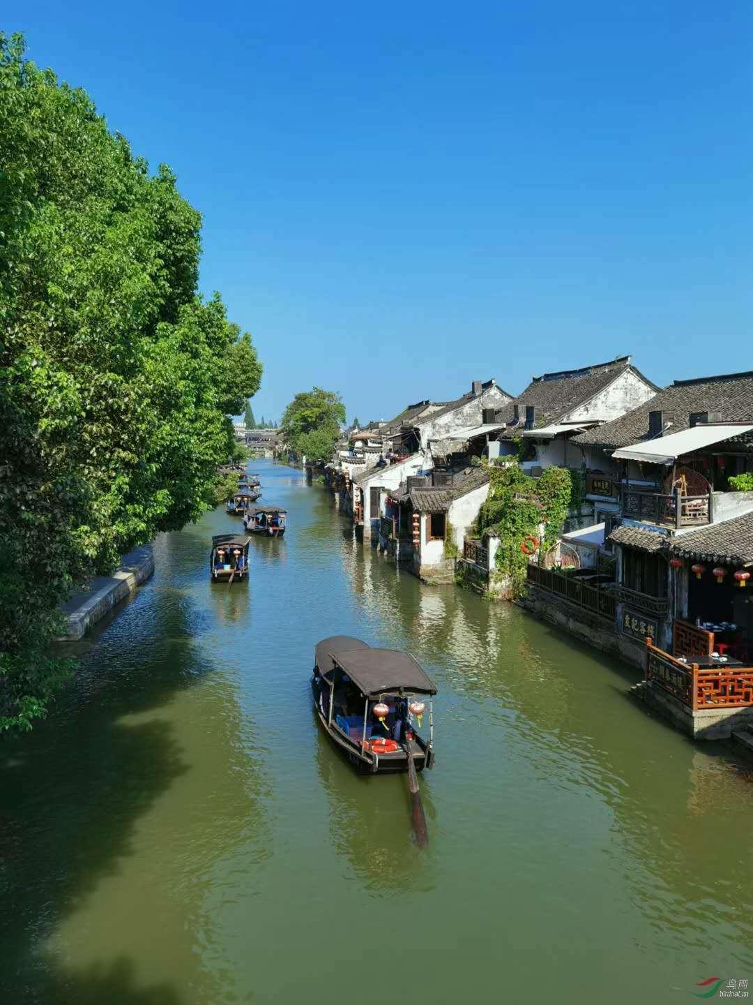 长见识！小伦敦国际营探索伦敦的历史与科技之旅